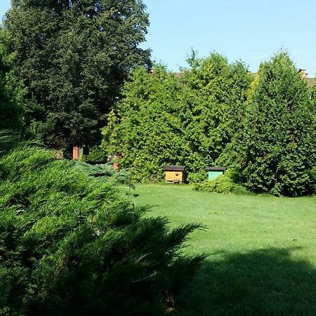 Kwiatowa Zagroda Białowieża Exteriér fotografie