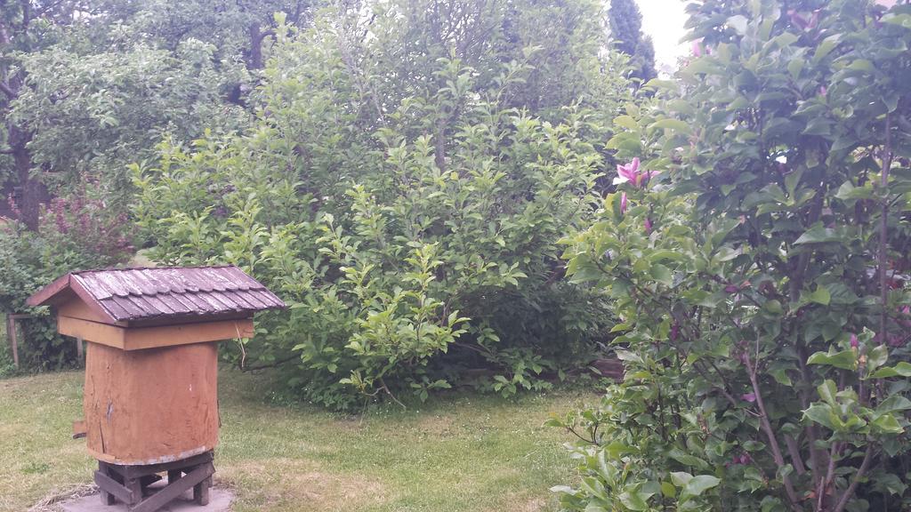 Kwiatowa Zagroda Białowieża Exteriér fotografie