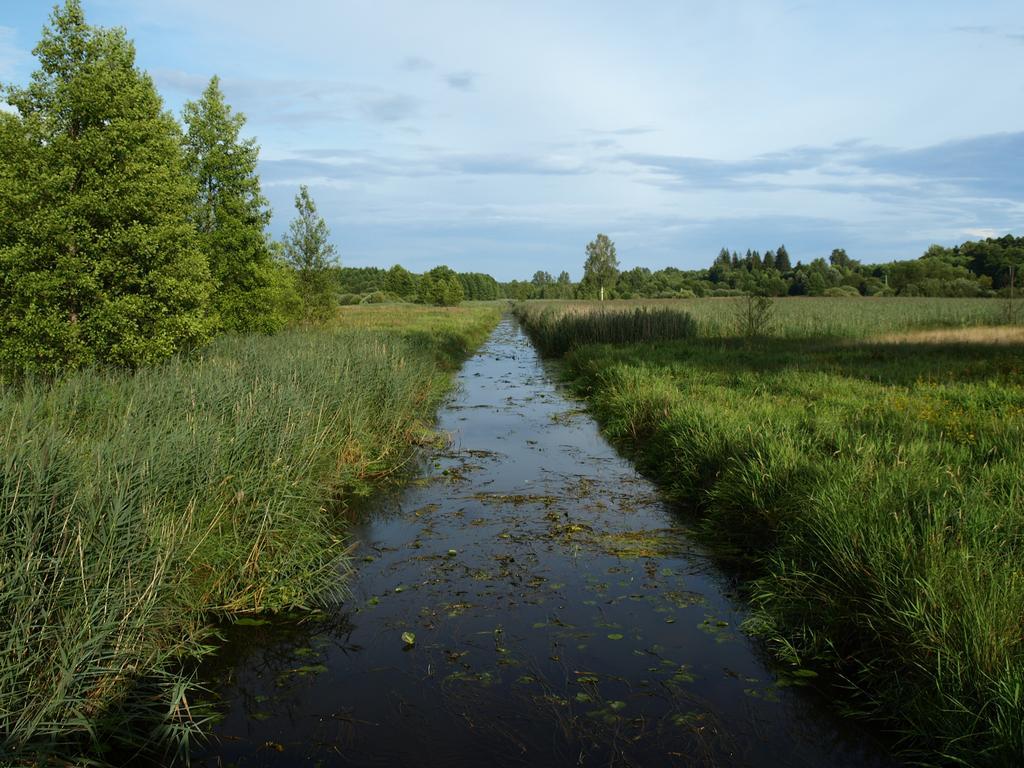 Kwiatowa Zagroda Białowieża Exteriér fotografie