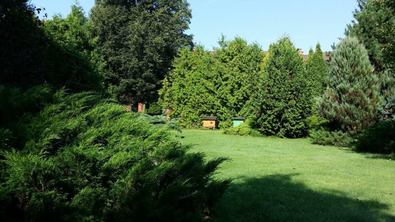 Kwiatowa Zagroda Białowieża Exteriér fotografie